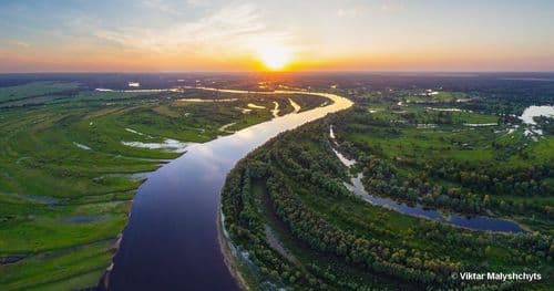 Sauvez l’Amazonie européenne ! 