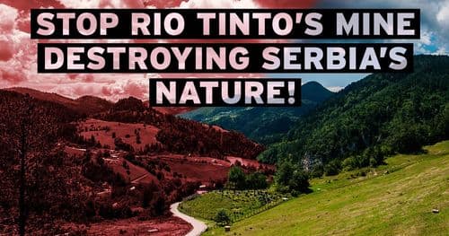 Stop Rio Tinto’s mine destroying Serbia’s nature!